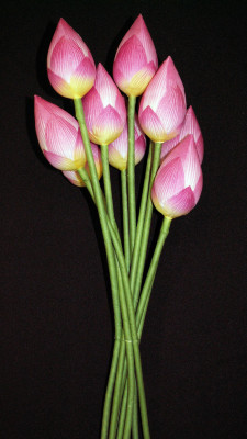 Thai Buddhist Holy Symbol: "Bua" 