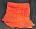Indian Traditional Woman's Wrap Cloth: "Saree"