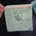 Kazakh Buddhist Ritual Object: "Lung Ta" Prayer Flags