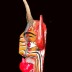 Mexican "Pastorela" Nativity Festival Devil Mask - "El Diablo"