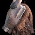 Congolese Holo People Mask: "Pakasa"