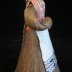 Belarussian Display Doll